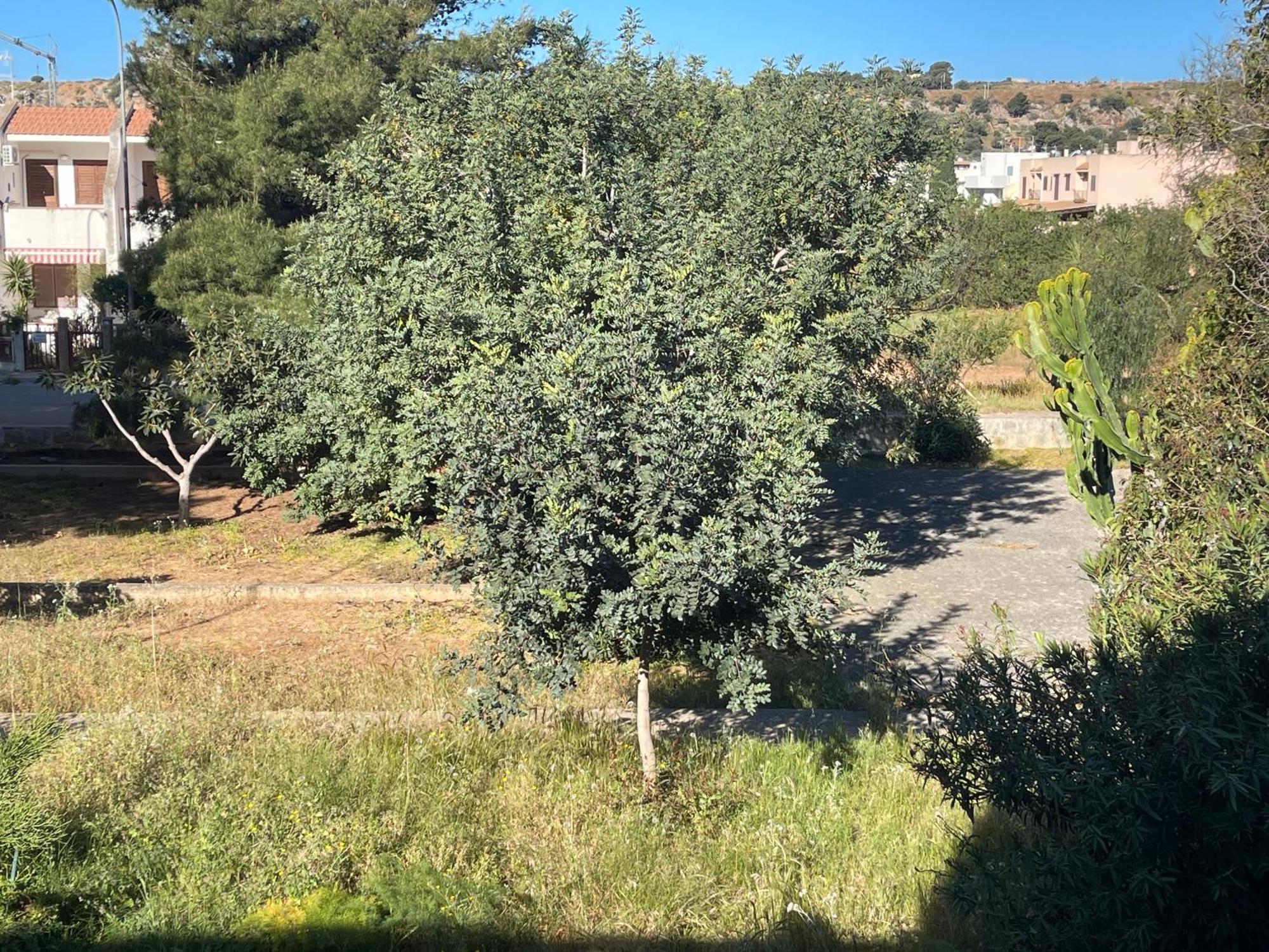Aurora E Andrea San Vito Lo Capo Villa Luaran gambar